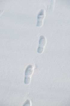 Footprints in fresh white snow