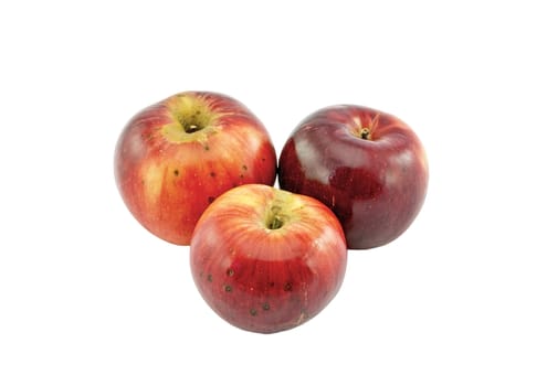 Three red apples on a white background