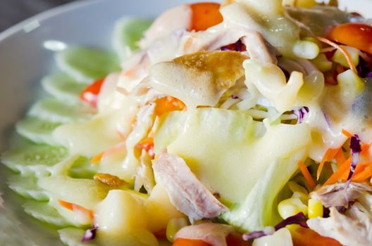close up chicken  and fresh vegetable salad  with  creamy sauce 