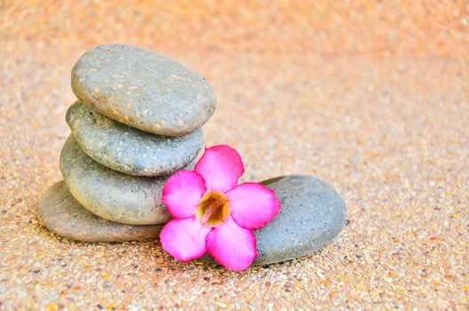 Desert Rose Flower