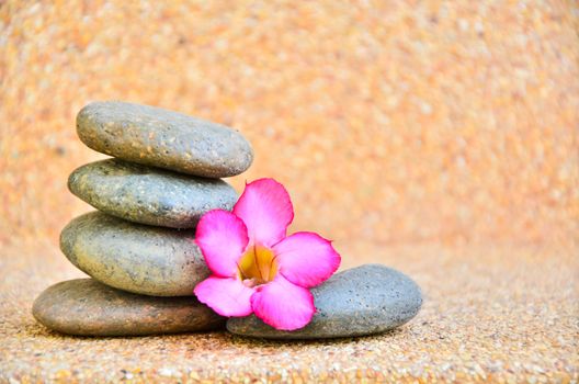 Desert Rose Flower