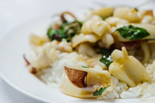 squid  fried with chili pepper and sweet basil and rice