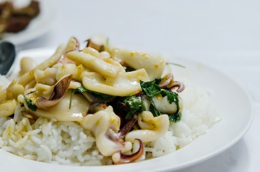 squid  fried with chili pepper and sweet basil and rice , spicy thai dish