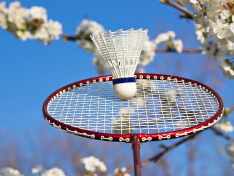 badminton on the open air in the spring