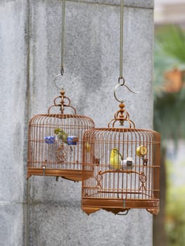 Caged songbird in the Yuen Po Street Bird Garden in Kowloon, Hong Kong.