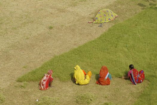 Group of Indian woman cutting grass by hand at the Taj Mahal in Agra, Uttar Pradesh, India.