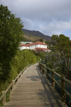 Wooden walkway at the Boulders Beach Penguin Colony near Cape Town in South Africa.