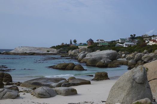 Boulders Beach near Cape Town in South Africa. Home to a colony of African Penguins (Spheniscus demersus).