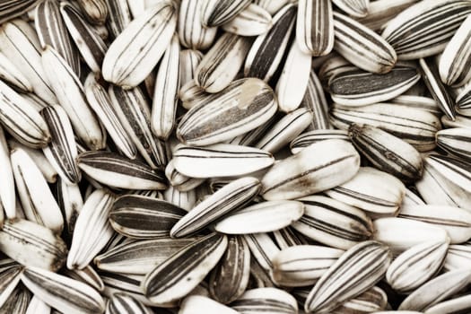 Sunflower seeds background