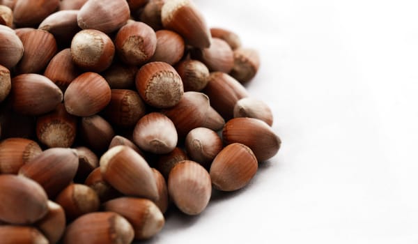 Hazelnut close up isolated on white background