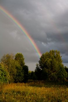 Rainbow in summer evening in coutryside
