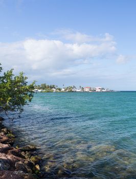 Homes by roadside in Florida Keys by Route 1 Overseas Highway