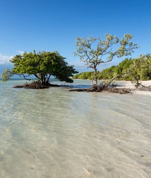 Anne's Beach by roadside in Florida Keys by Route 1 Overseas Highway