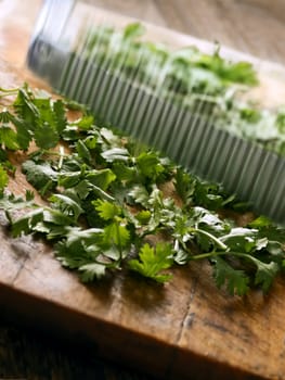 close up of fresh coriander leaves on cutting board