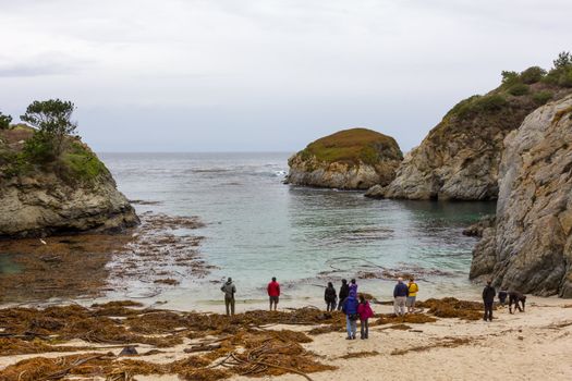 China Cove and Spectacular Rock Formations at Point Lobos State Natural Reserve