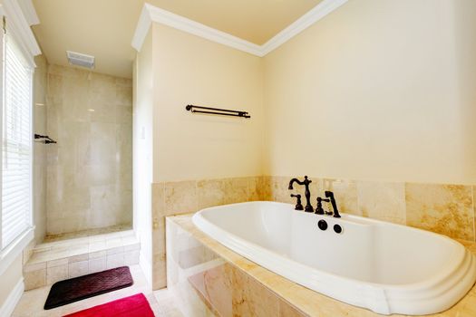 Nice empty bathroom with large white tub and walk-in shower.