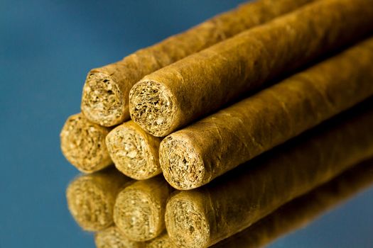 Close up picture of five cigars in the studio