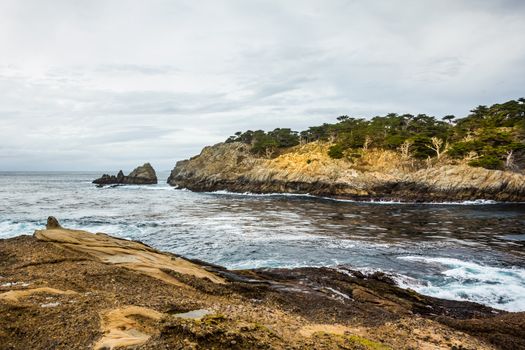 Spectacular Rock Formations at Point Lobos State Natural Reserve