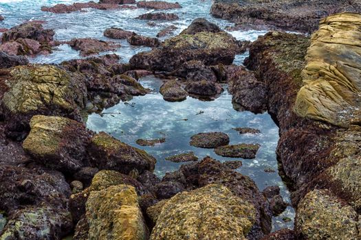 Spectacular Rock Formations at Point Lobos State Natural Reserve