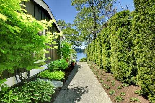 Side of the house with green landscape and walkway.