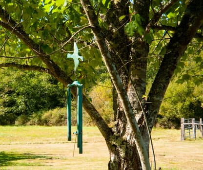 Wind chimes hanging from a tree