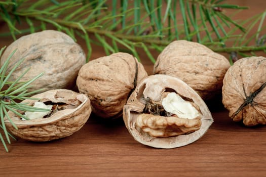 walnuts and a cracked walnut on wooden background with needles