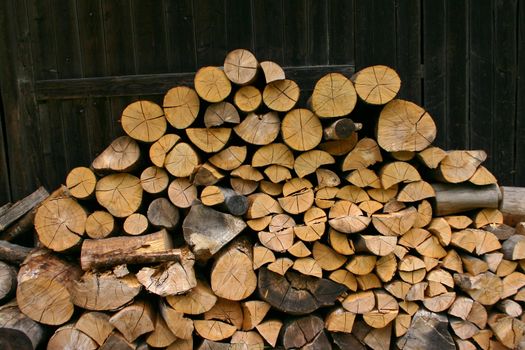 Pile of wood in the forest