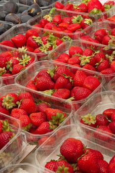 Strawberries at the local market