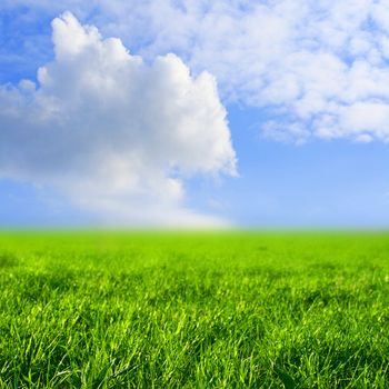 sky grass field nature background