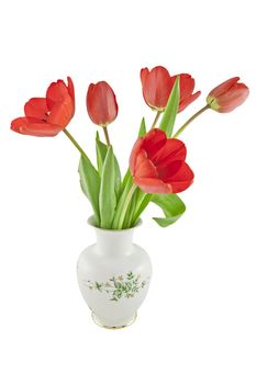 Closeup of tulips in a china vase isolated on white 