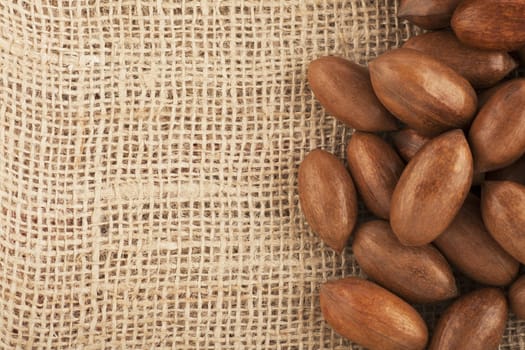 Whole unshelled pecans on burlap sack with copy space