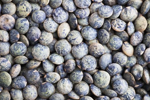 Close-up of green lentils great for healthy food background or texture