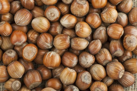 Pile of whole unshelled hazelnuts seen from above.