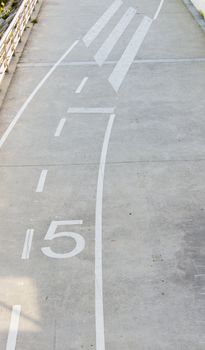 White bike lane marks with a big five speed limit and pedestrian crossing