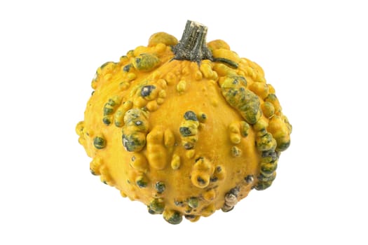 Miniature ornamental pumpkins isolated on pure white background.