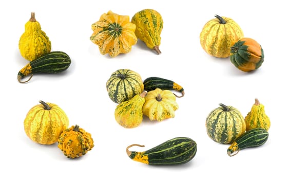 Collection of matured, miniature ornamental pumpkins. Often used as a decoration in autumn or winter. Isolated on white background.