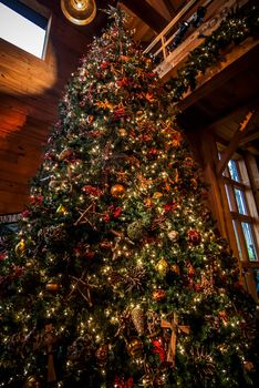 This dramatic image is of a very large indoor Christmas tree with lights, ornaments, balls, square gifts and more reflected against sectioned windows