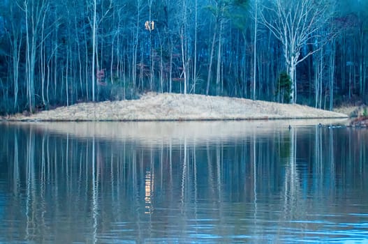 moon reflecting in lake