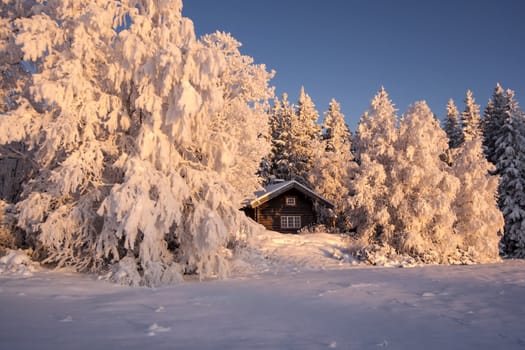 Beautiful winter landscape in Sweden