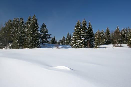Beautiful winter landscape in Sweden