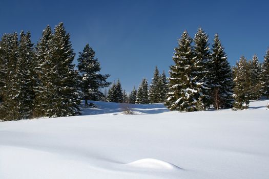 Beautiful winter landscape in Sweden 
