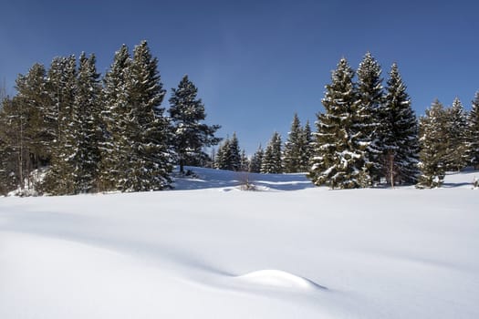 Beautiful winter landscape in Sweden 