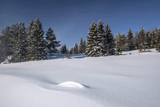 Beautiful winter landscape in Sweden