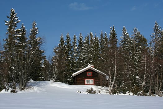 Beautiful winter landscape in Sweden