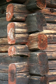 Texture of old wood background closeup 