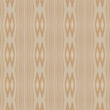 Texture of wood background closeup
