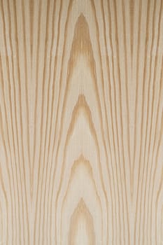 Texture of wood background closeup