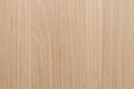 Texture of wood background closeup