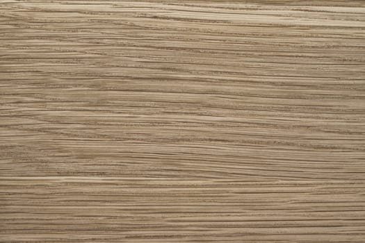 Texture of wood background closeup 