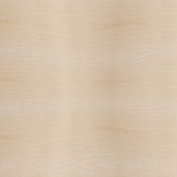 Texture of wood background closeup